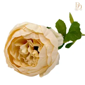 18" Blush Peony Stem