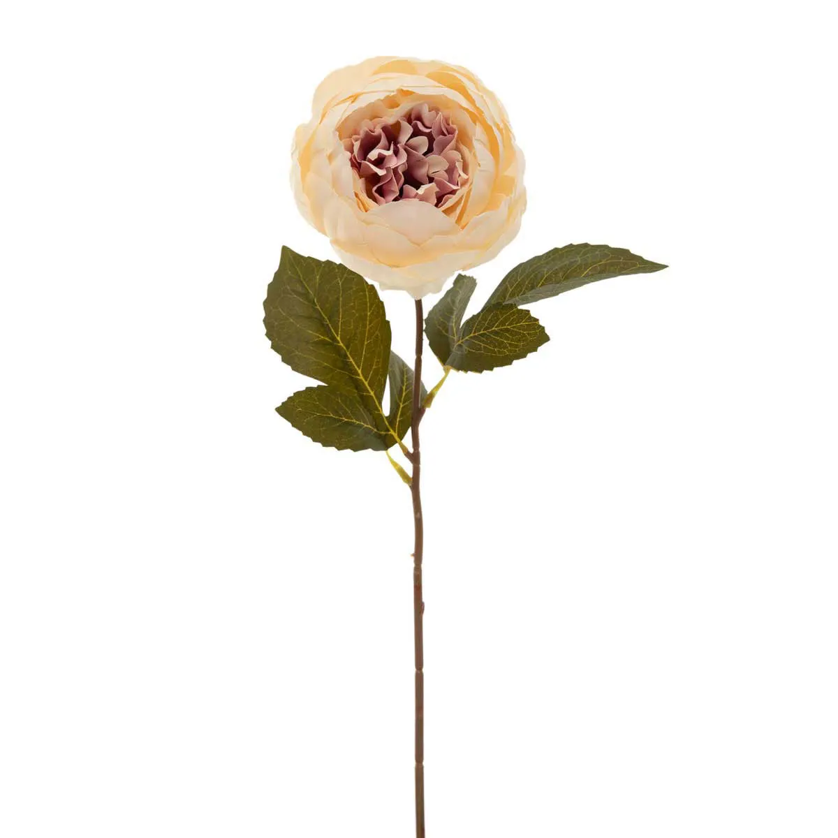 18" Blush Peony Stem