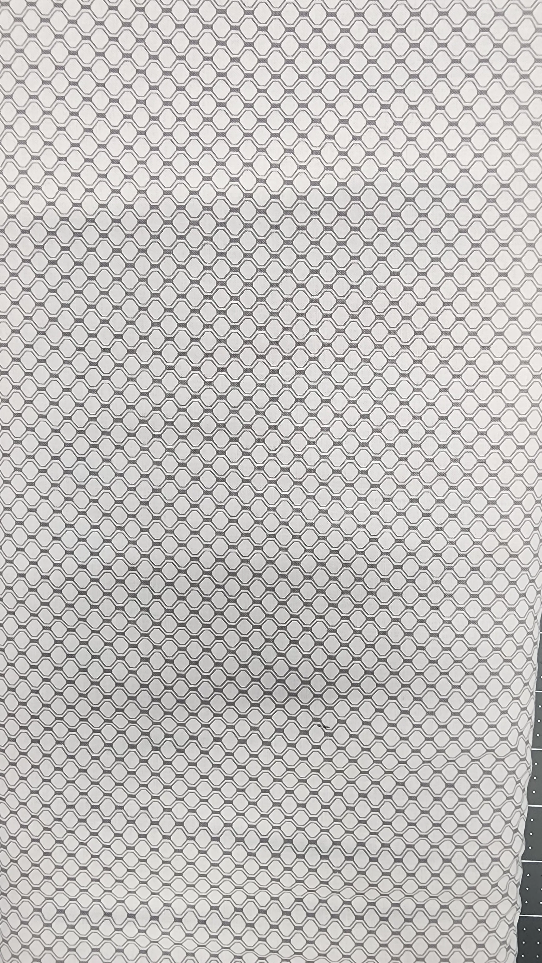 Basics Gray Matters in White