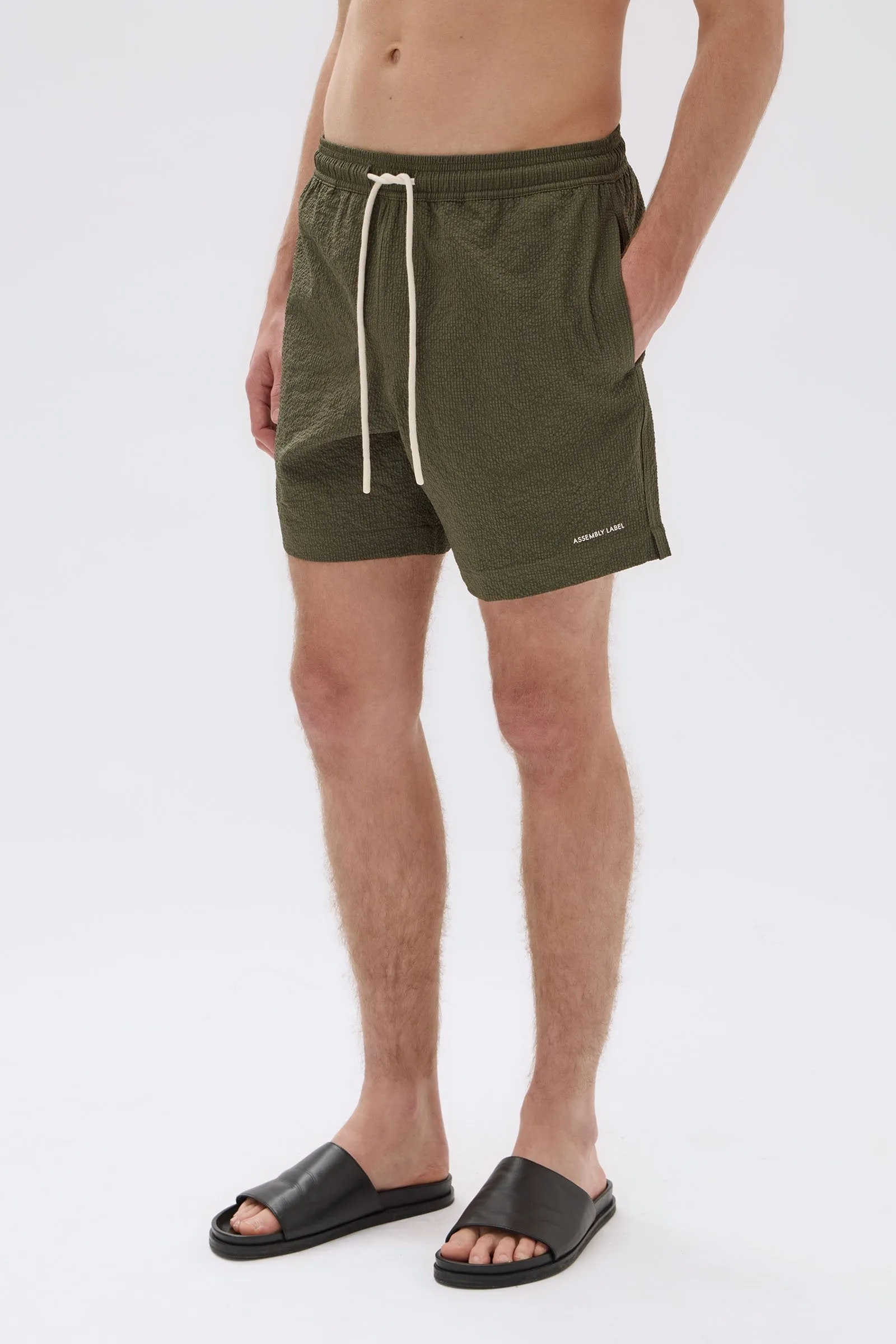 Seth Swim Short